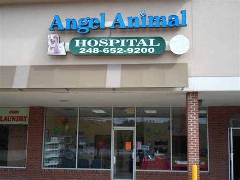 angel pet hospital